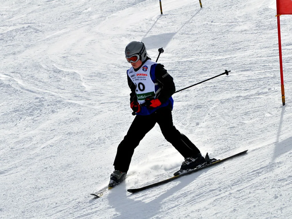 Skifahrerin in der Kurve zwischen zwei Toren.